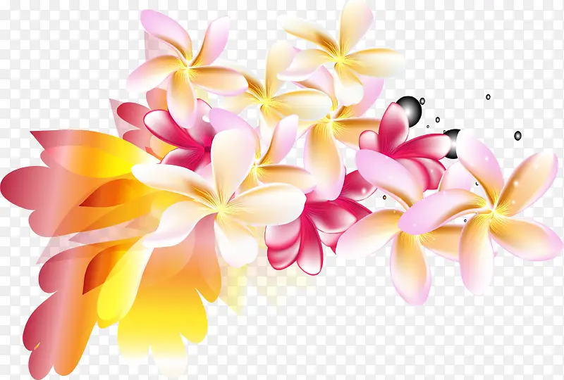 粉色鸡蛋花装饰图案