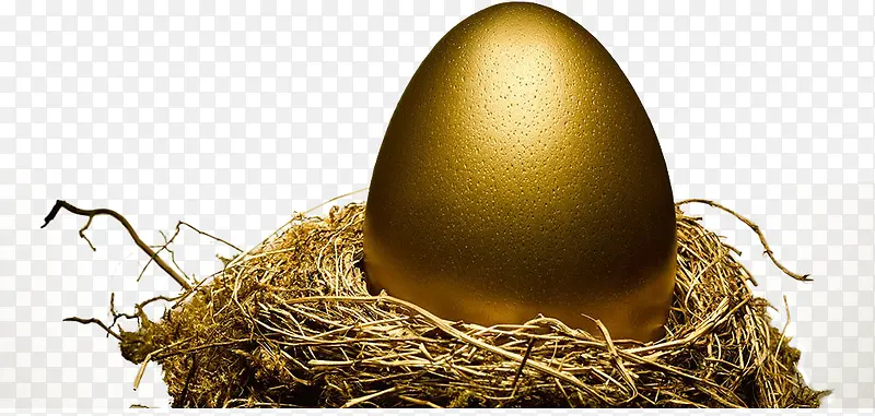 鸟巢金色蛋