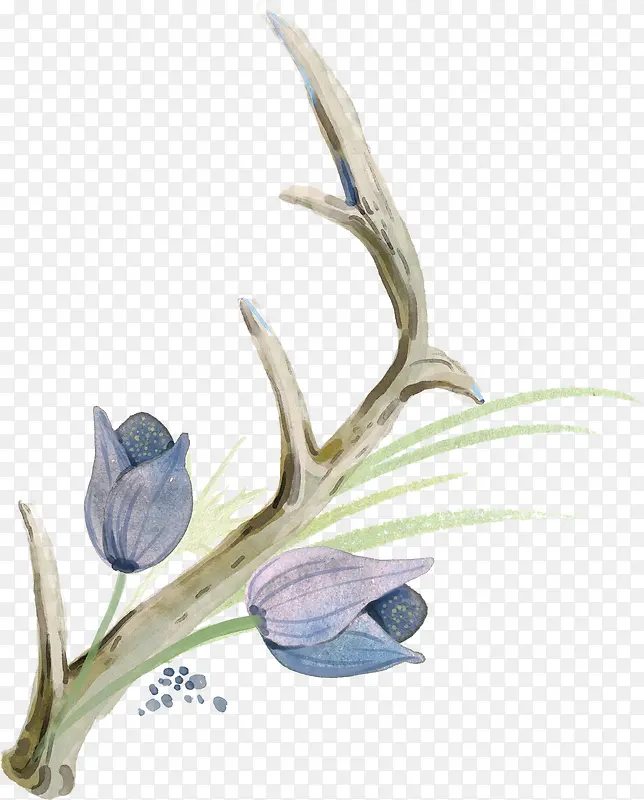 鹿角蓝色花卉