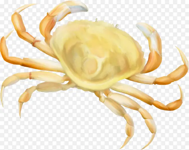 水彩 螃蟹