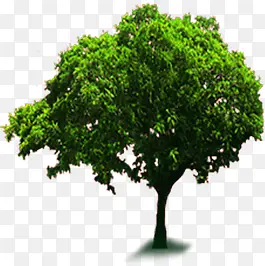 创意合成绿色的大树造型