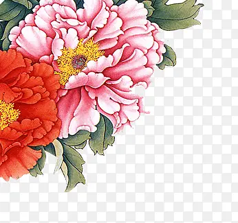 红色牡丹花