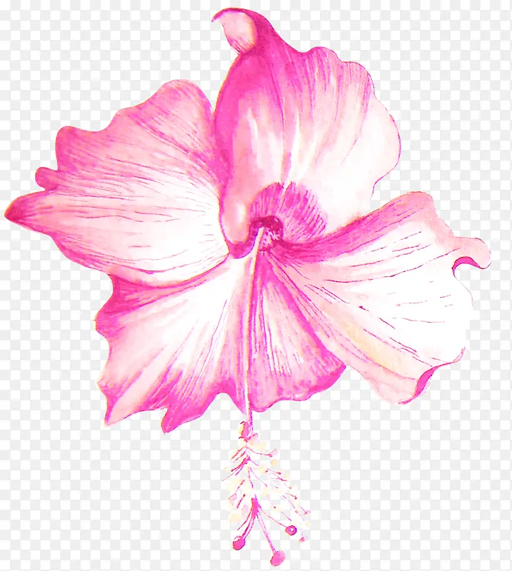 粉色手绘花朵植物