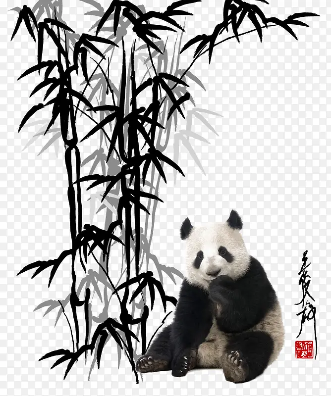 竹子与熊