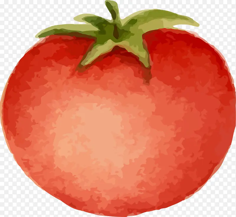 红色手绘西红柿