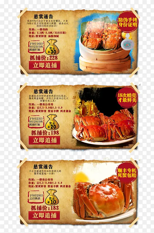 餐饮食品海报效果