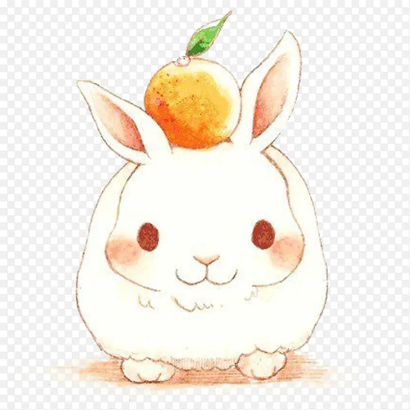 卡通手绘兔子与橘子