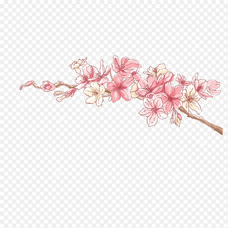 中国风梅枝粉色水彩彩绘矢量图