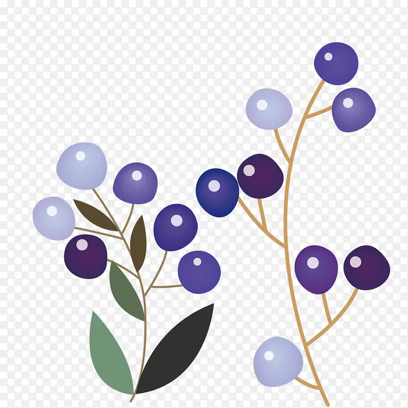 紫色植物矢量手绘
