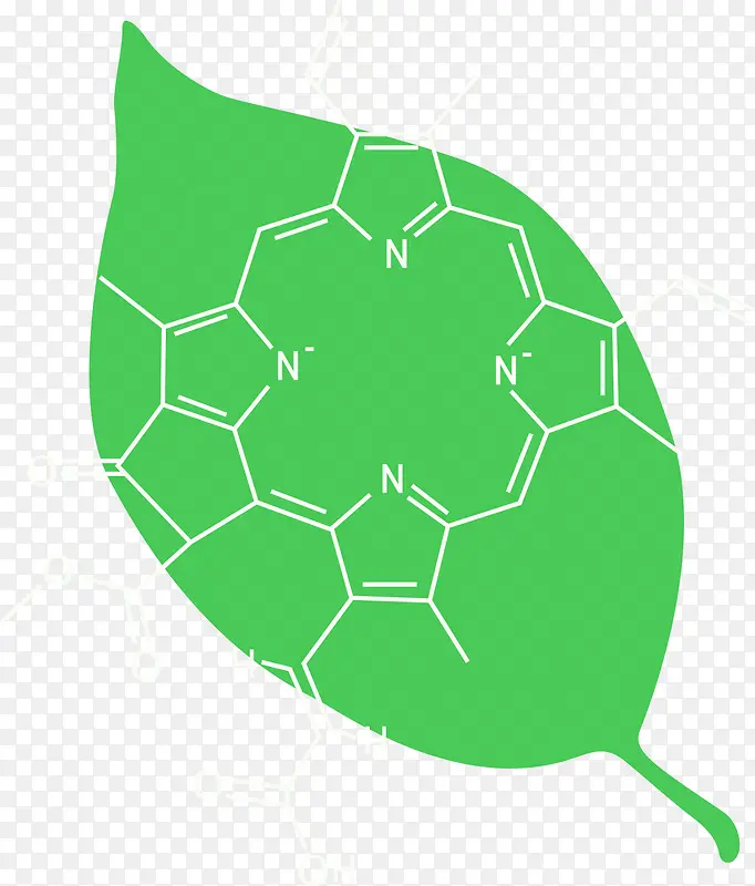 绿叶上的化学公式