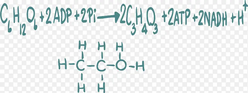 化学反应方程式