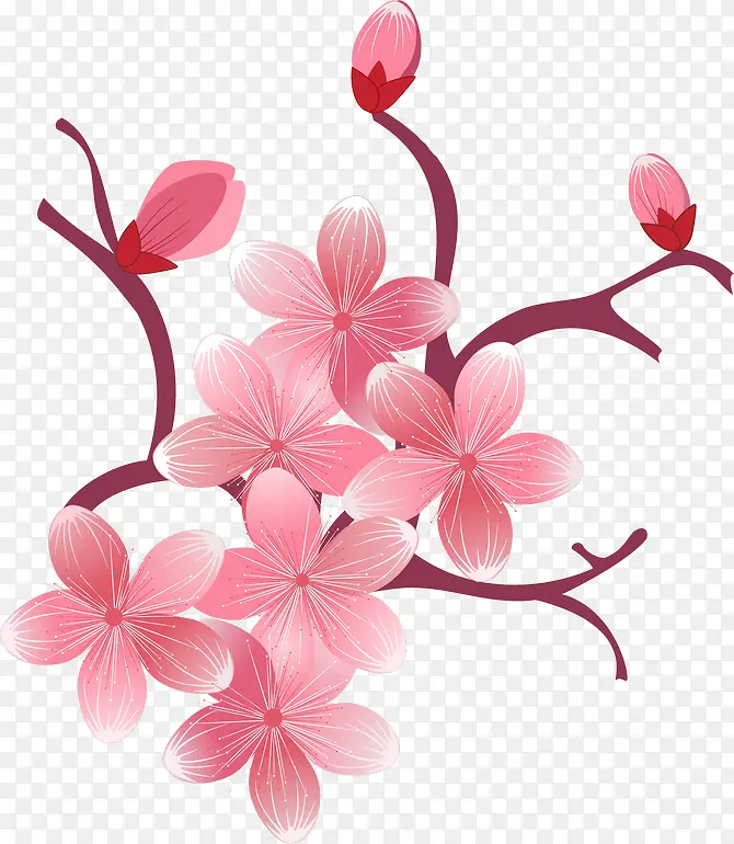 手绘粉色花朵
