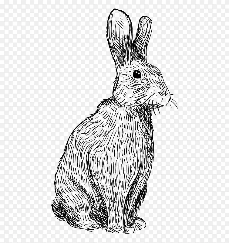 萌萌的黑白可爱兔子手绘素描矢量