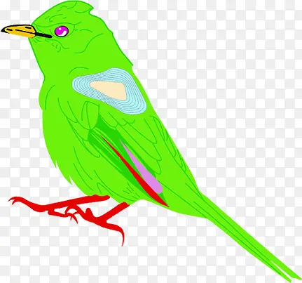 绿色手绘小鸟造型
