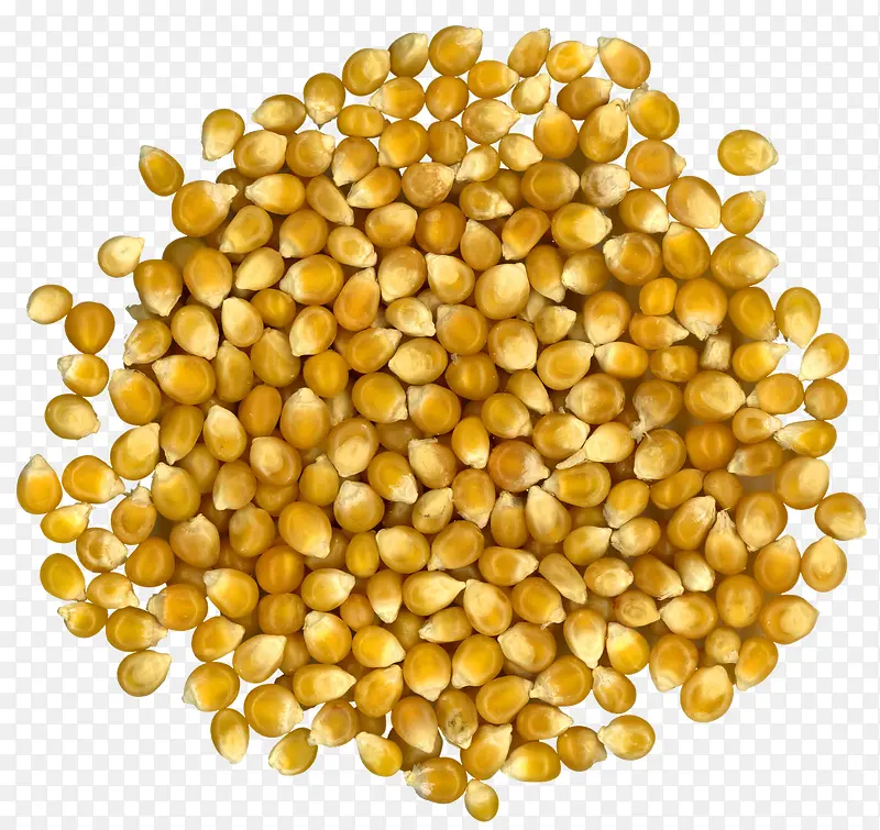 一堆黄色的玉米颗粒