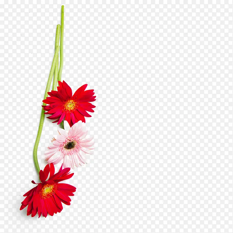 三朵小花