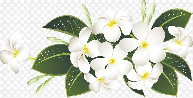 卡通白色花卉装饰图案
