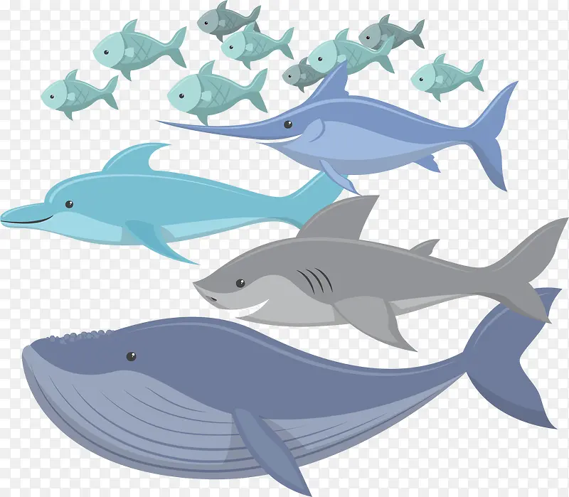 海洋中的生态鱼群