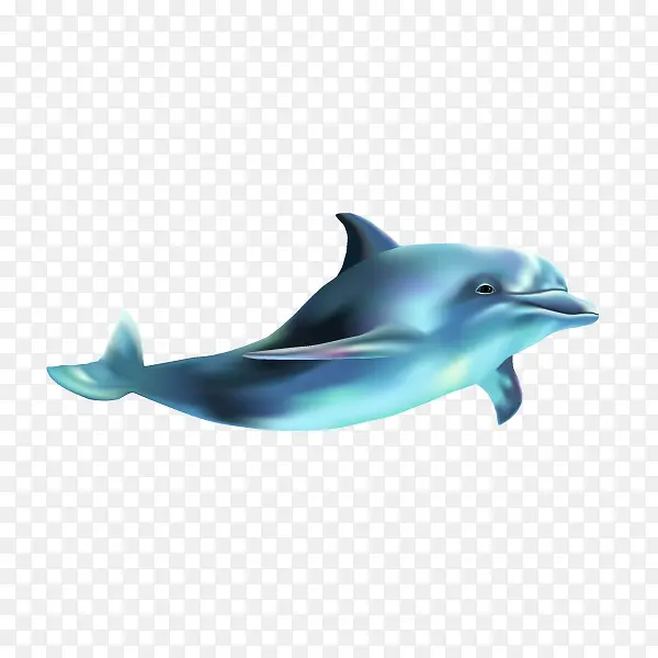 卡通手绘海洋海豚