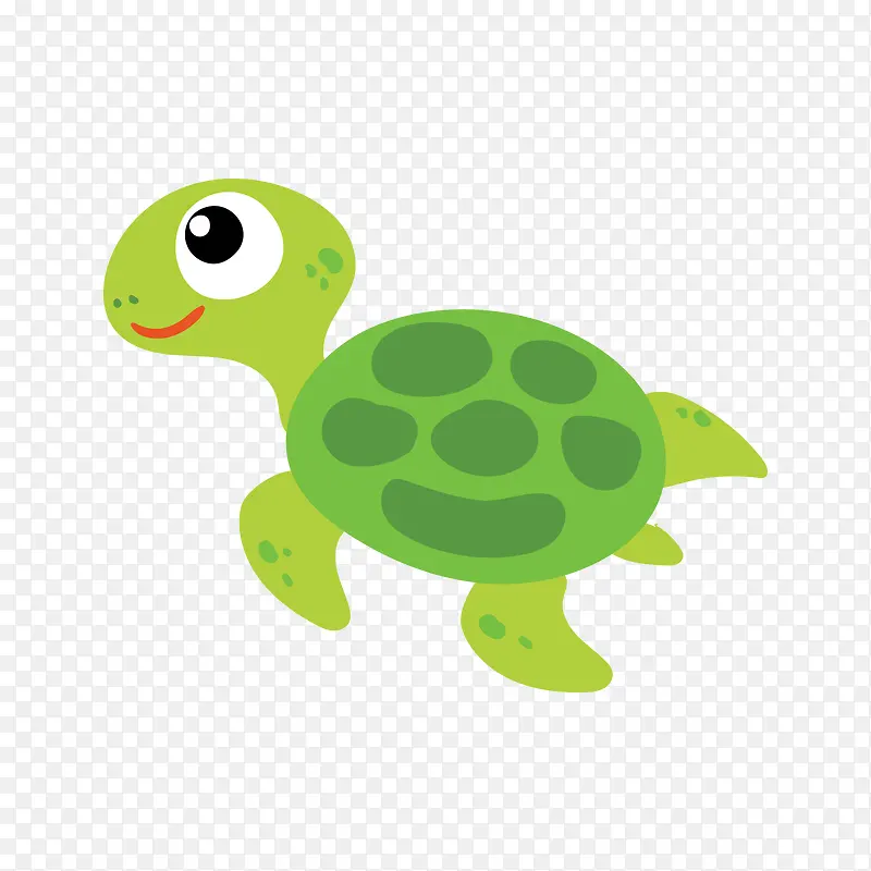绿色的海洋动物海龟