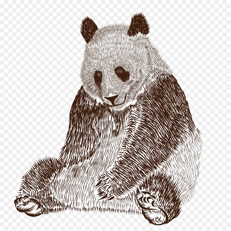 坐着的大熊猫素描图