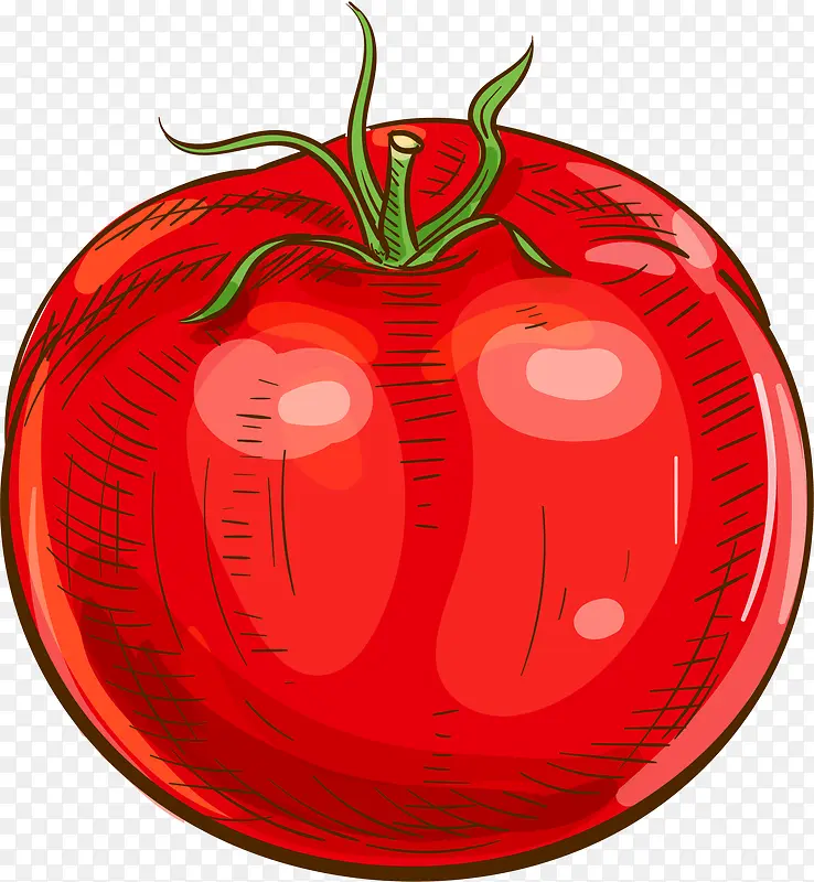 矢量番茄免抠PNG