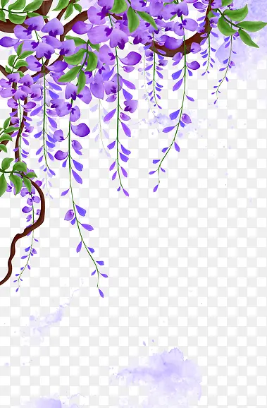 紫藤花藤蔓