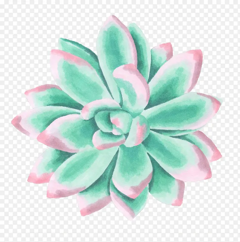 手绘水彩绘画立体墨绿花卉
