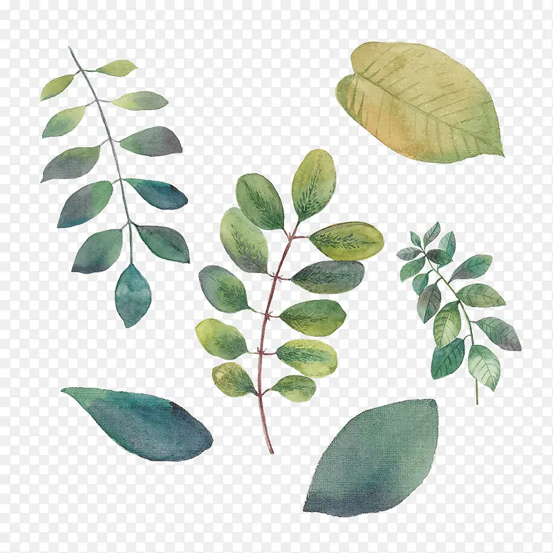 手绘墨绿植物装饰