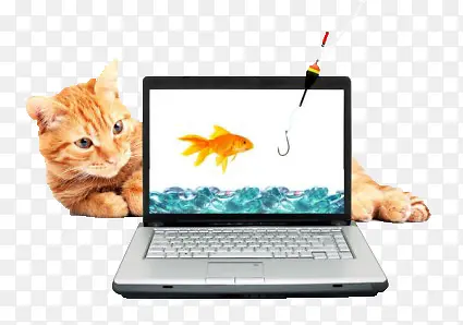 在电脑屏幕里抓鱼的猫