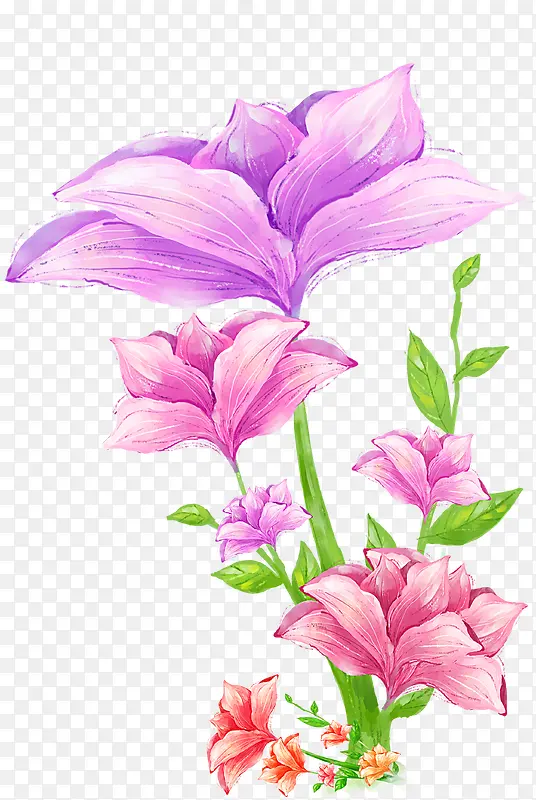 绘画紫色花卉画报