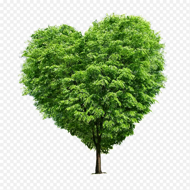 心型绿化树立面树