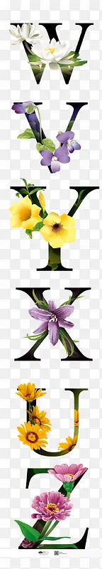 带花的字母 拼音字母