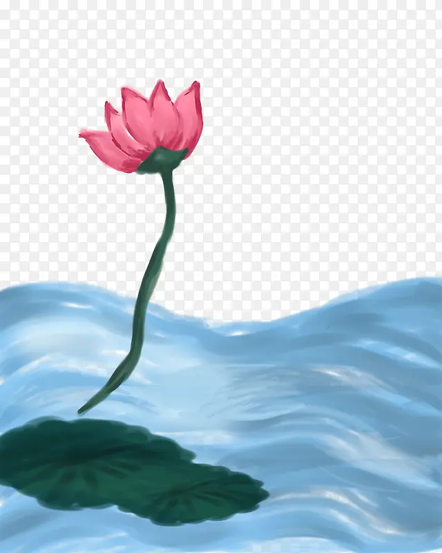 手绘荷花