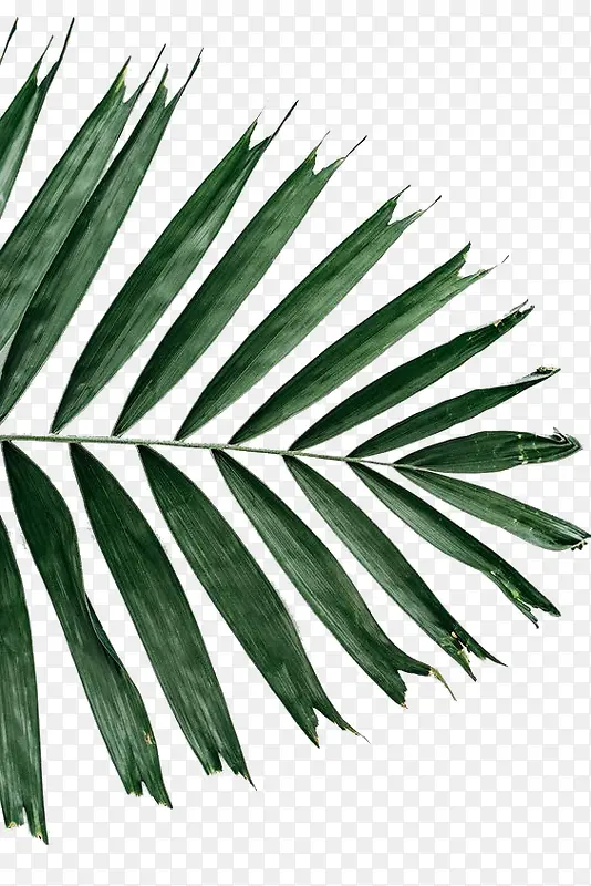绿色针织叶装饰图案