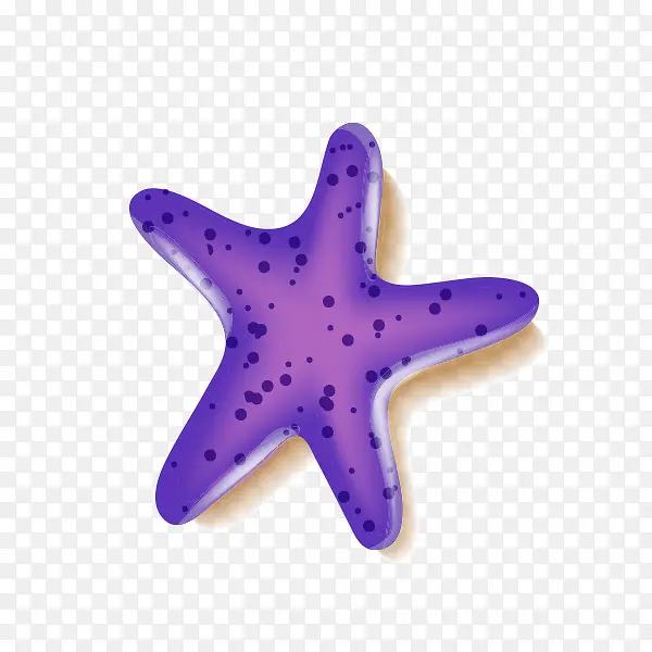紫色立体海星