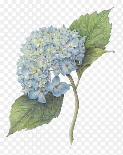 蓝色法式婚礼花卉