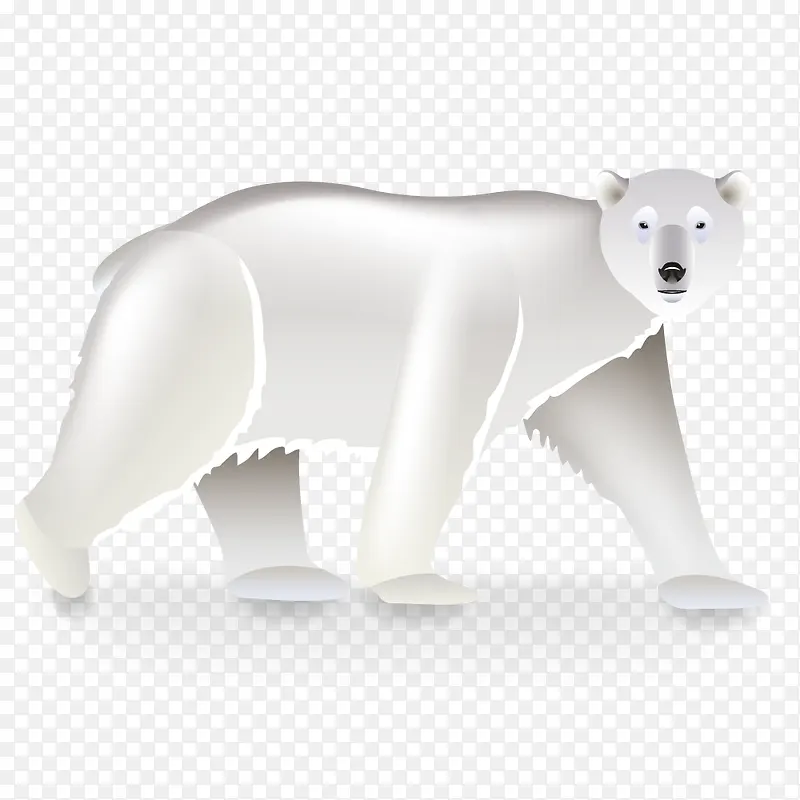 矢量动物北极熊