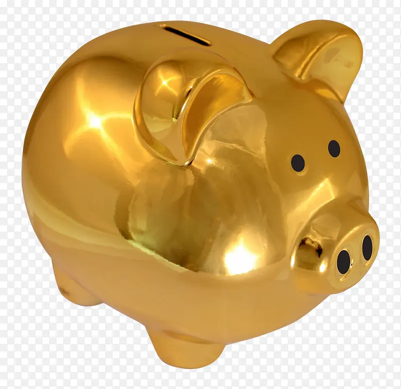 闪亮的金色小猪存钱罐