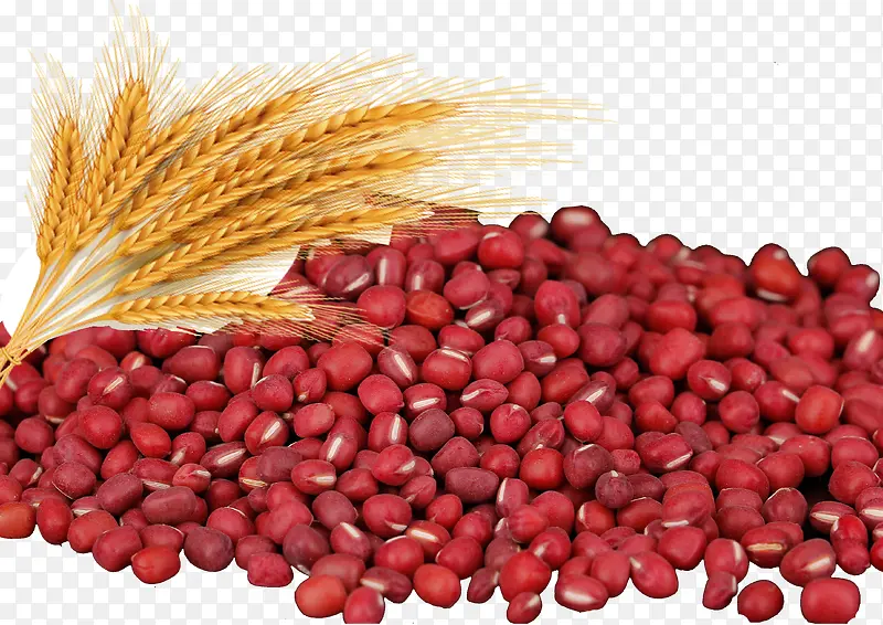 红豆五谷杂粮麦子豆子健康养生豆