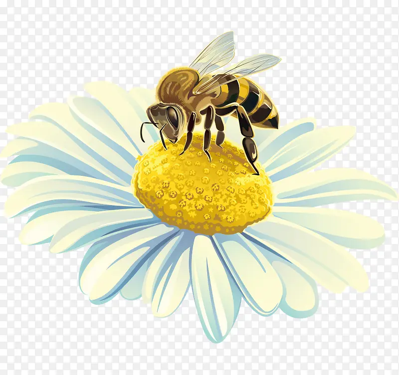 卡通手绘蜜蜂花朵采蜜