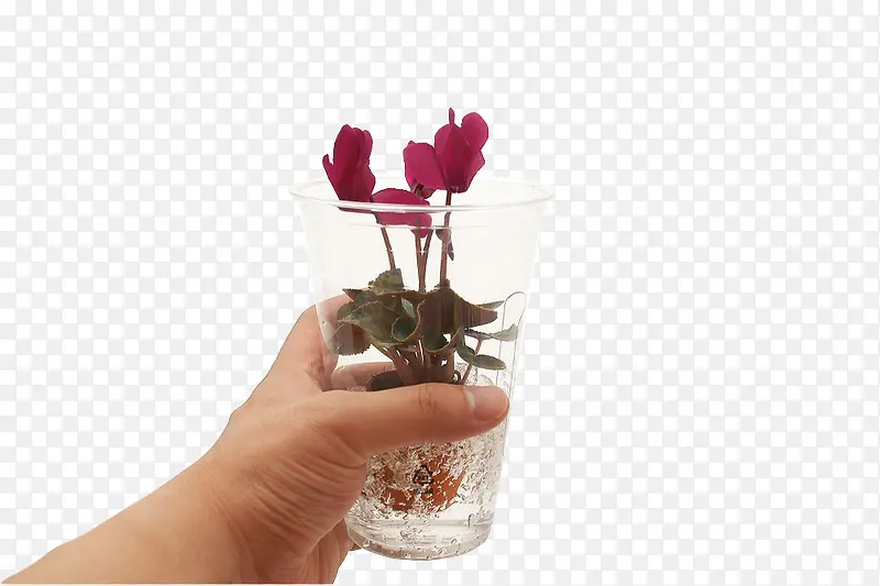 手拿水杯花朵