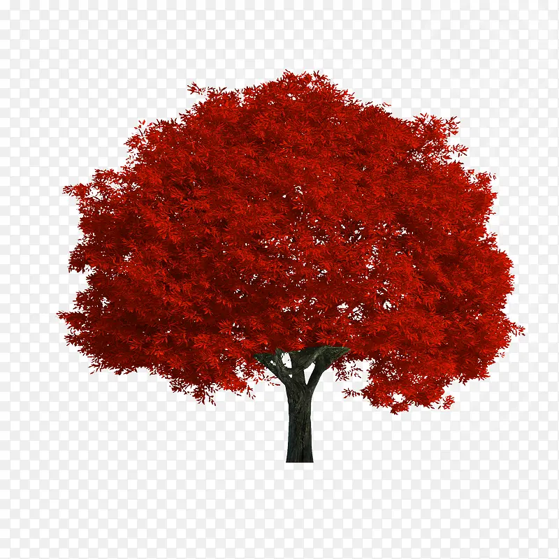 红色树木素材背景