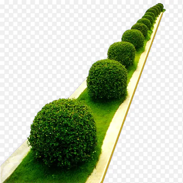 绿色植物PNG图片素材下载_图片编号8064389-PNG素材网