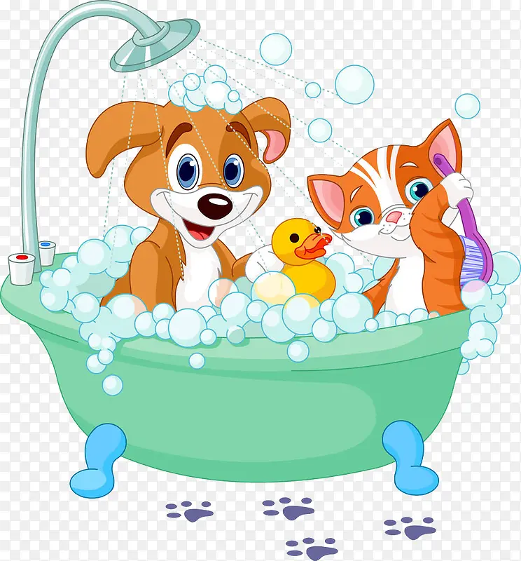 一起洗澡的小猫小狗