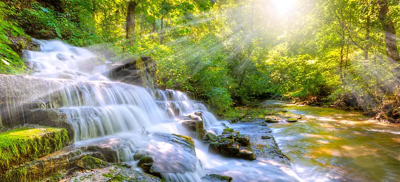 早晨森林中的美丽小溪瀑布海报背景