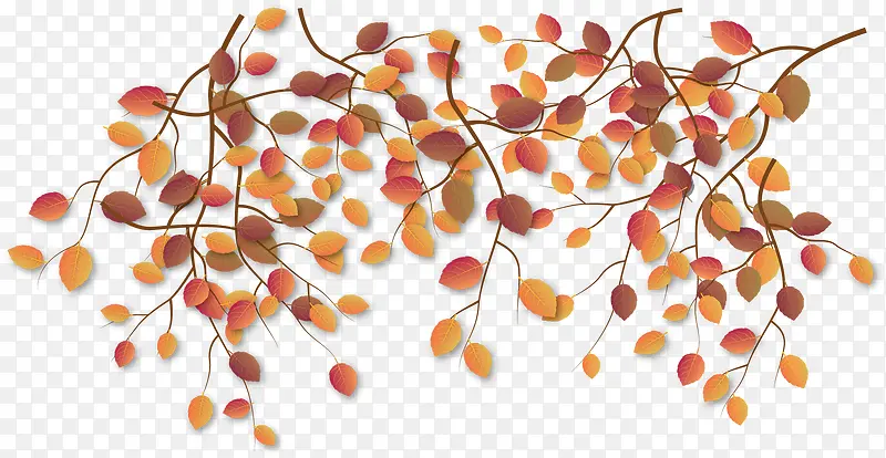 浪漫秋季红色树叶