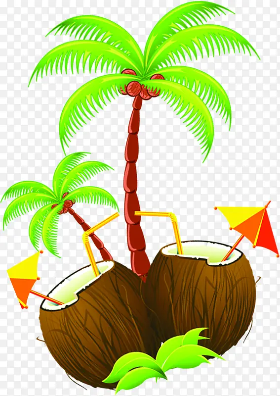 椰树椰子夏日装饰