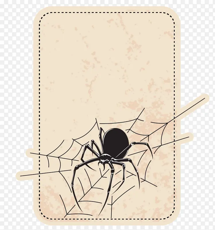 边框上的蜘蛛
