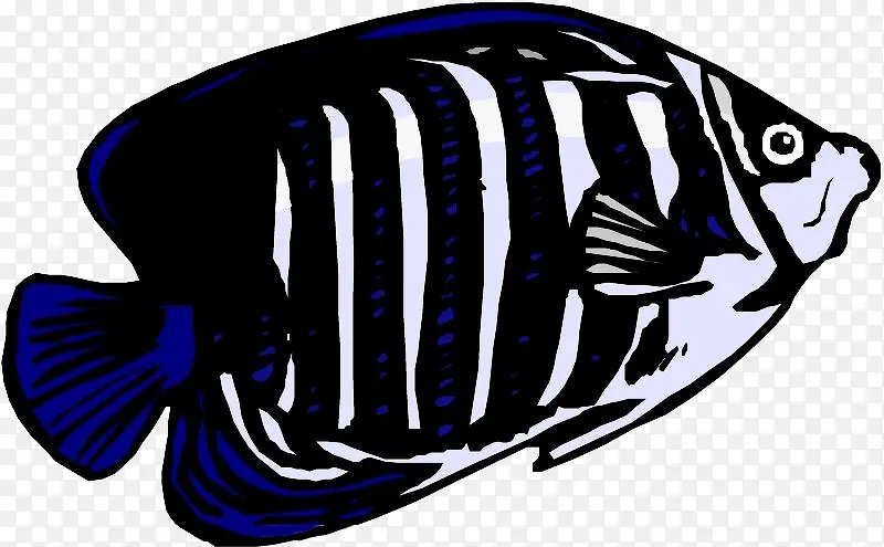 黑色条纹鱼